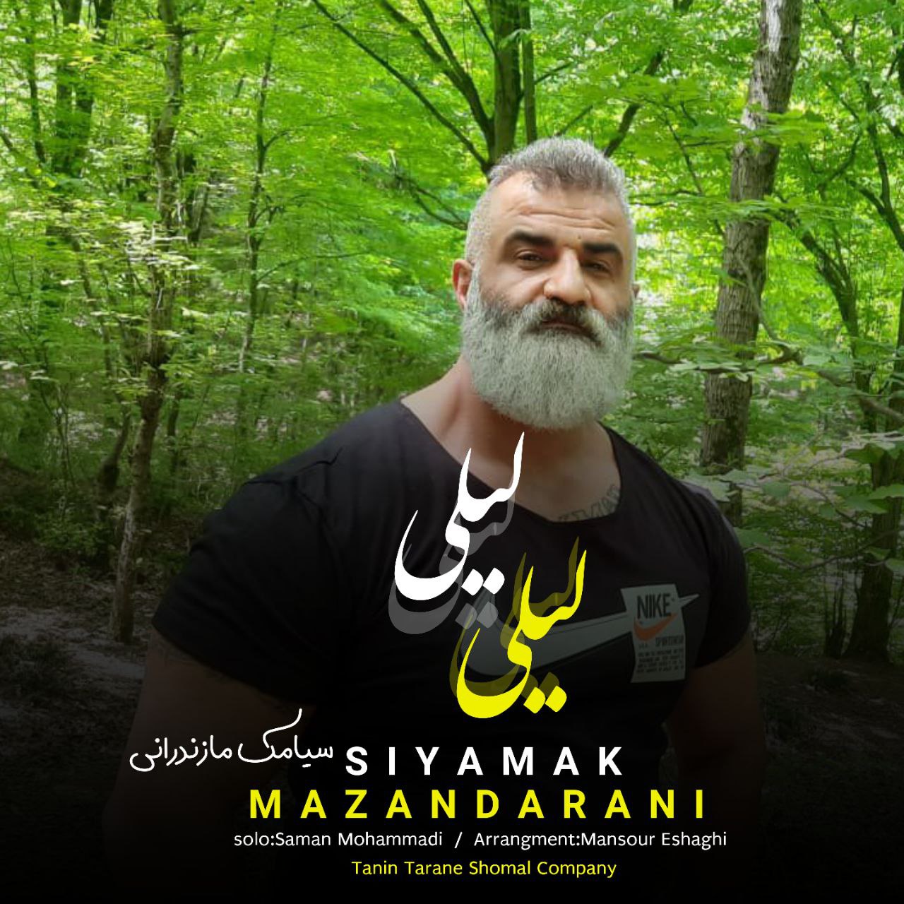 سیامک مازندرانی لیلی لیلی